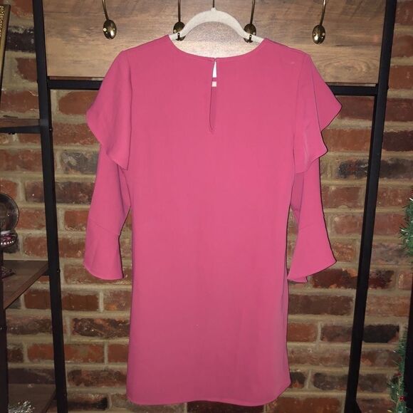 Express Pink Ruffle Long Sleeve Dress - Sz XS - Picture 13 of 15